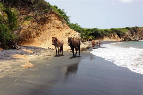 The 20 Best Black Sand Beaches to Visit