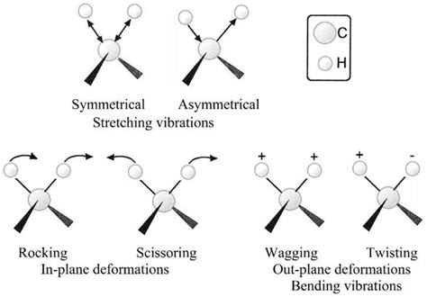 6 Vibration Modes Of A Ch2 Portion In A Ch2x2 Where X Can Be Any Other Download Scientific