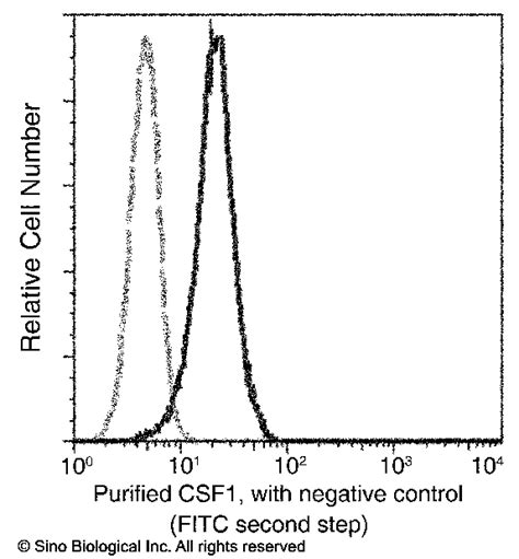 M CSF CSF1 Antibody Guideline Preparation Dilution And Applications