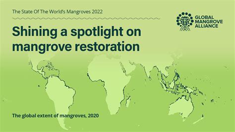 Mangroves for Climate Action: Global Mangrove Alliance launches new State of World Mangrove ...