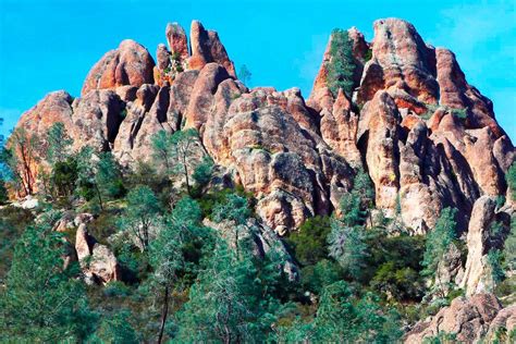 Parc National Des Pinnacles Un Voyage à Travers Sa Géologie Sa Faune