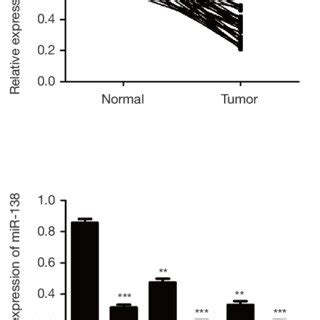 MiR 138 Is Down Regulated In CRC Tissues And Cell Lines A Relative