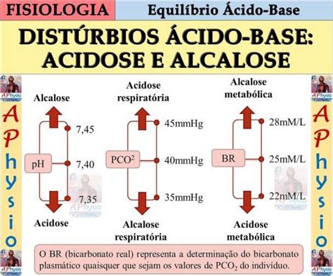 Equilíbrio ácido Base Fisiologia Veterinária I