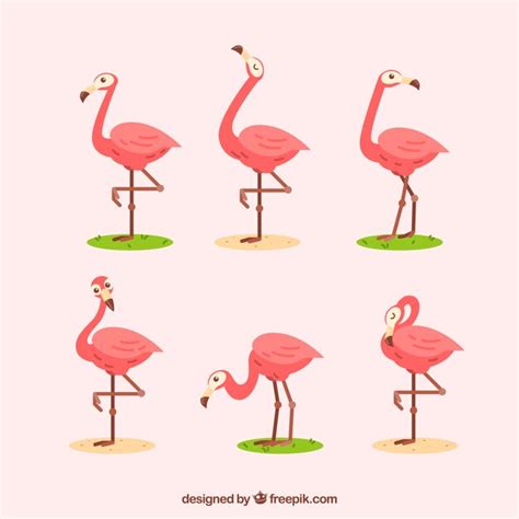 Imágenes de Dibujos Animados Flamencos Descarga gratuita en Freepik