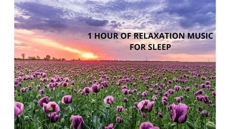 1 Hour Of Relaxing Music For Sleep Sounds Of Nature Relaxing Piano