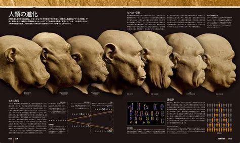 『人類の進化 大図鑑（アリス・ロバーツ 編著 ／ アドリー＆アルフォンス・ケニス兄弟 作品 ／ 馬場悠男 監修）』 販売ページ 復刊ドットコム