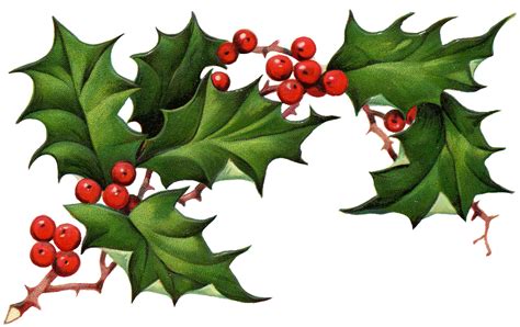 Christmas Holly Wallpapers Wallpaper Cave