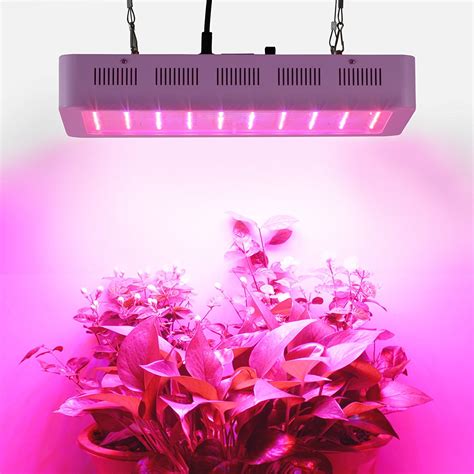 Choisir Une Lampe De Croissance Pour Ses Plantes Ce Quil Faut Savoir