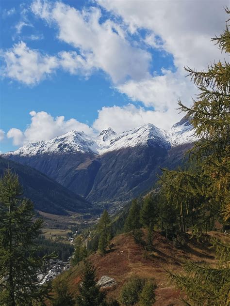 Hiking in Mürren, Switzerland last month. : r/hiking