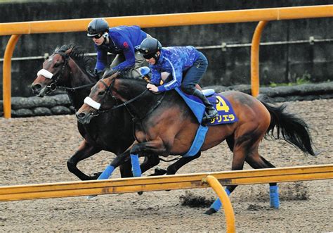 サリエラの国枝師「体調良さそう」71年ぶりの牝馬vへ「『盾男』武豊が頑張ってくれると思う」【天皇賞・春追い切り】：中日スポーツ・東京中日スポーツ