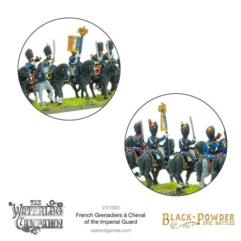 Acheter Black Powder - Epic Battles: Waterloo - French Grenadiers à ...