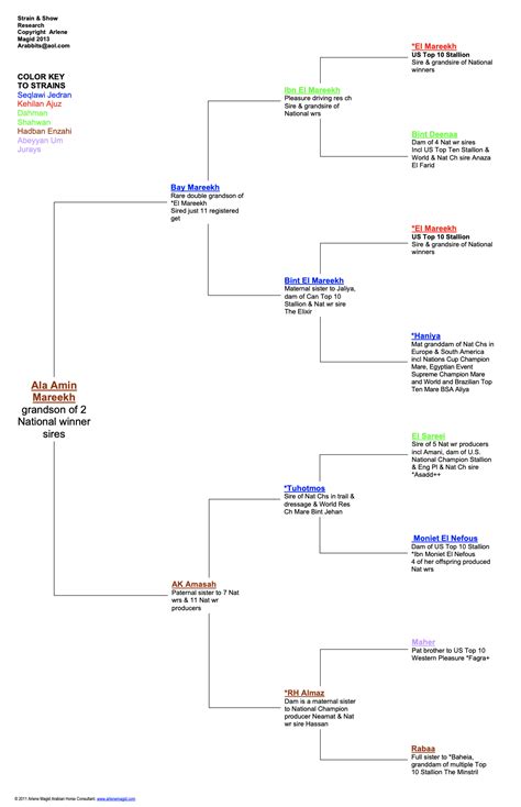 Arlene Magid ~ Pedigree Charts