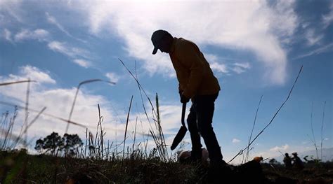 Noticiero Panorama Queretano Inicia Jornada De Reforestaci N En San