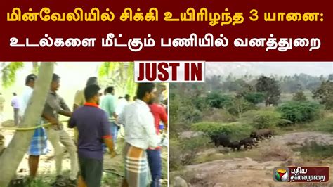 Justin மின்வேலியில் சிக்கி உயிரிழந்த 3 யானை உடல்களை மீட்கும்