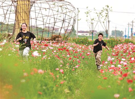 庆丰村：农旅融合 打造乡村振兴“新地标” 溧阳日报