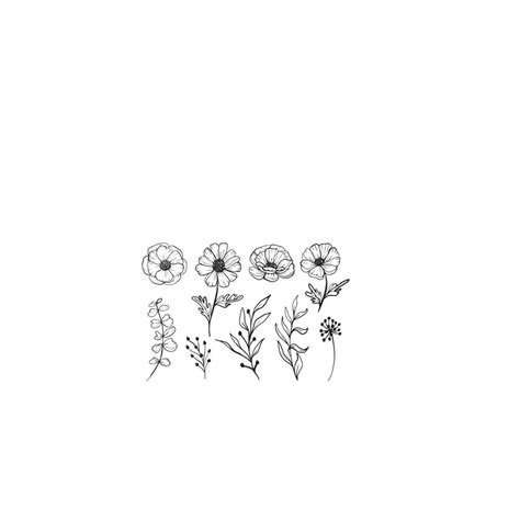 isolated daisy line art floral clipart 23346310 Vector Art at Vecteezy