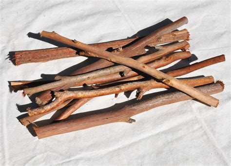 small sticks nature play kids sticks bundle  sticks etsy