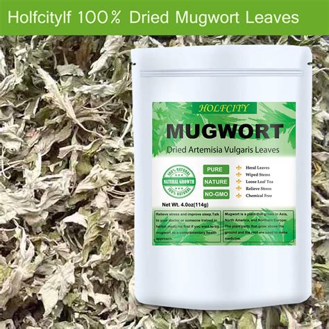 Hojas De Mugwort Secas Oz G Hoja De Mugwort Artemisia