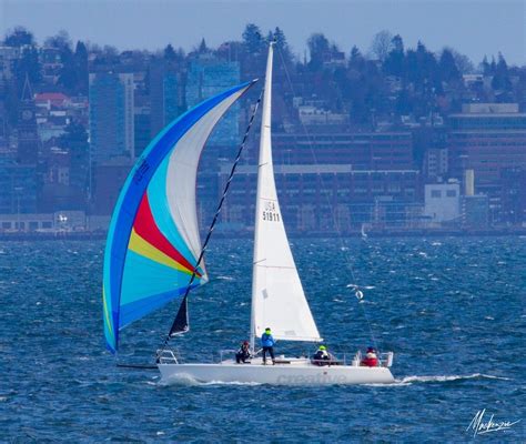 Photos Sailboats Fill Seattles Elliott Bay On A Late Winter Weekend