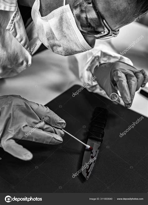 Forensic Science Laboratory Police Expert Examining Crime Scene ...