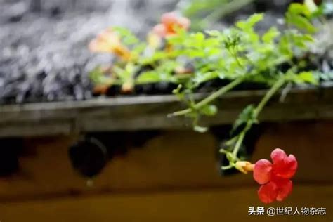 芒種到，送你最全《芒種養生指南》，人手一份 每日頭條