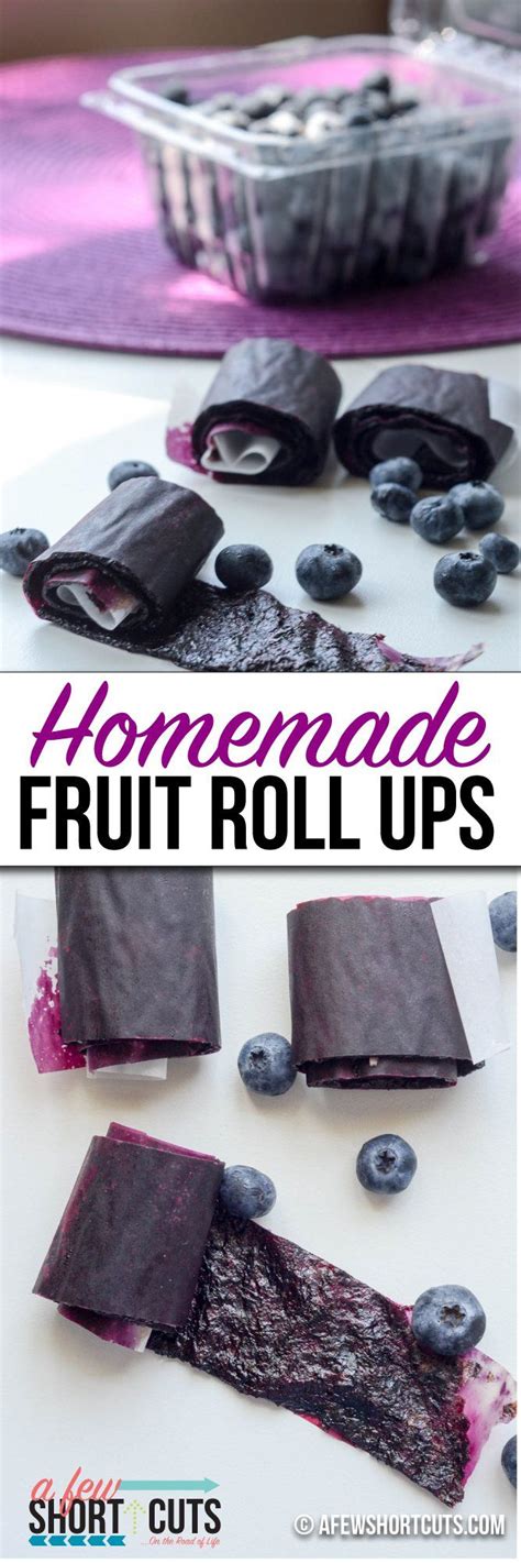 Homemade Fruit Roll Ups Recipe