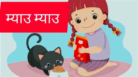 Meow Meow Song Miyau Miyau Mayu Kisko Chhadu Kisko Khau म्याउ