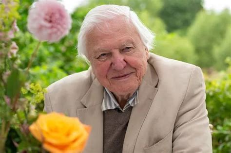 Sir David Attenborough Gets Top Honour For Lifelong Wildlife Work