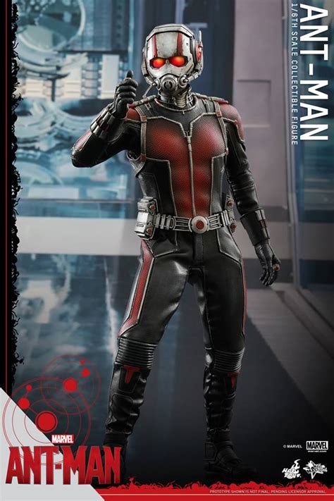 Hot Toys Ant Man Figure Photos Up For Order Marvel Toy News