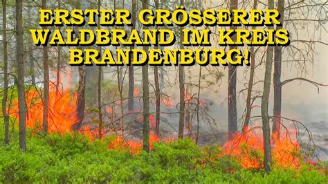 Erster Waldbrand Bei Brandenburg Mehrere Hektar Wald In Flammen