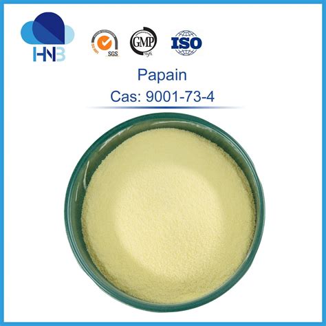 Cas Food Grade Powder Protease Enzyme Papaya Extract Papain