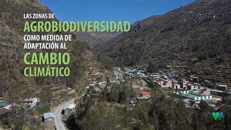 Zonas De Agrobiodiversidad Andenes De Cuyocuyo Como Medida De Adaptación Al Cambio Climático