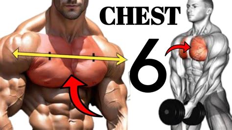 Best 6 Bigger Chest Exercises Fastest At Gym My The Gym Youtube