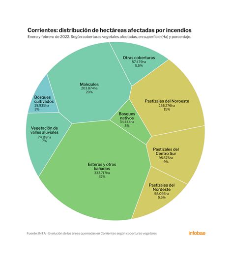 Radiografía De Los Incendios Ya Se Quemaron Más Hectáreas En 2022 Que