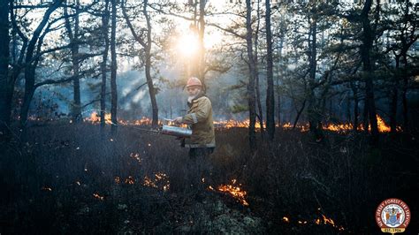 Nj Forest Fire ‘100 ’ Contained After Scorching Over 400 Acres Threatening Homes Officials Say