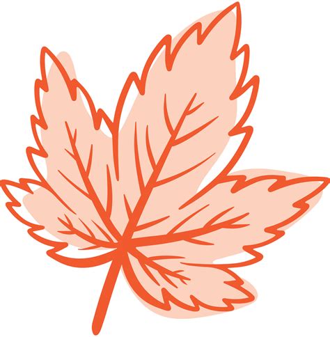 Aesthetic Maple Leaf Art Drawing for Autumn Nature Element Decoration ...