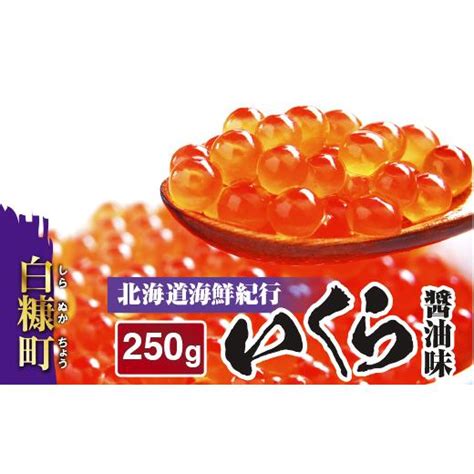 ふるさと納税 北海道 白糠町 【数量限定】2023年10月お届け 北海道海鮮紀行いくら 醤油味 250g いくら イクラ 小分け 鮭いくら 鮭イクラ イクラ醤油漬 鮭 鮭 5808869
