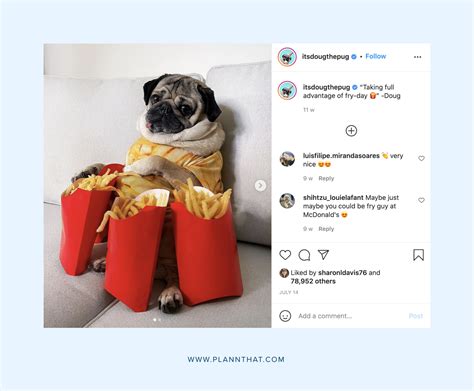 10 Delightful Dogs To Follow On Instagram – Plann by Linktree