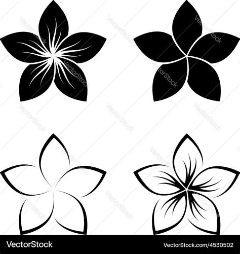 Plumeria Frangipani Vector Images Over 3600