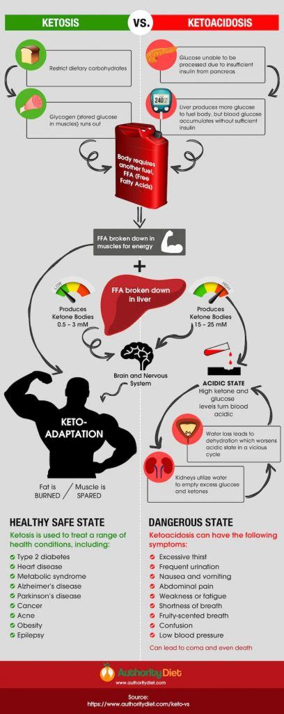 The Difference Between Ketosis And Ketoacidosis Infographic Post