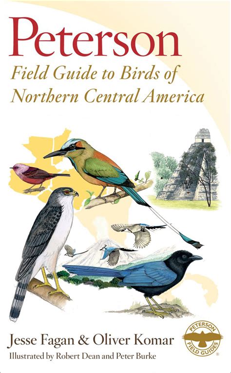 Peterson Field Guide To Birds Of Northern Central America Belize El