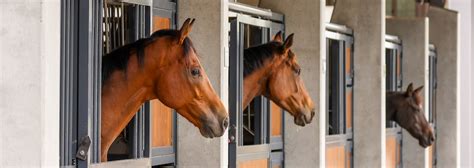 Willinga Park Equine Internal Medicine