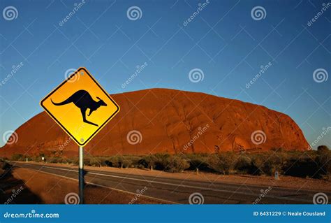 Uluru - Kata Tjuta National Park Editorial Stock Image - Image of bush, kangaroo: 6431229