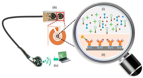 Toxins | Free Full-Text | Molecular Modeling and Simulation Tools in the Development of Peptide ...