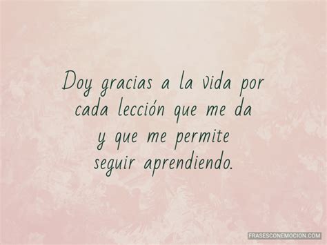 Las Mejores 60 Frases De Gracias Agradecimiento Y Gratitud Para Dedicar