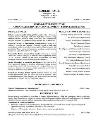 Award Winning Ceo Resume Templates Wisestep