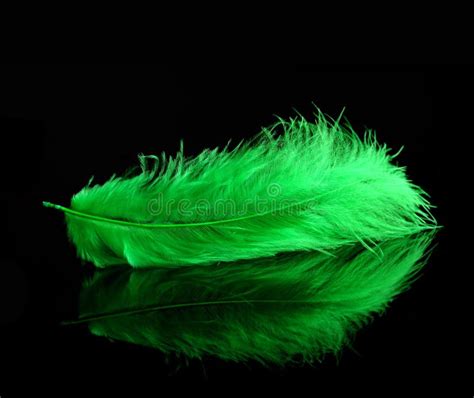 Green Bird Feather Close Up. Stock Image - Image of green, softness: 103464257