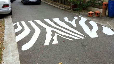 Zebra Crossing That Mimics The Pattern Of Actual Zebra