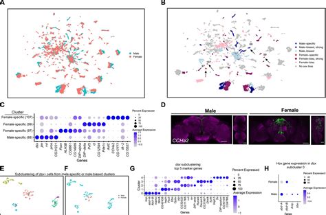 Figures And Data In Single Cell Transcriptome Profiles Of Drosophila