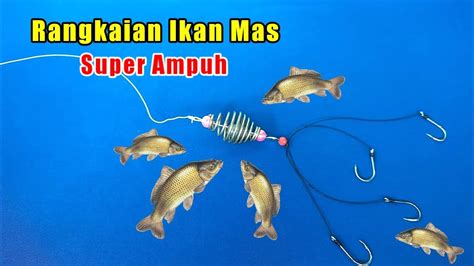 Buruan Coba Rangkaian Pancing Ikan Mas Paling Ampuh Youtube